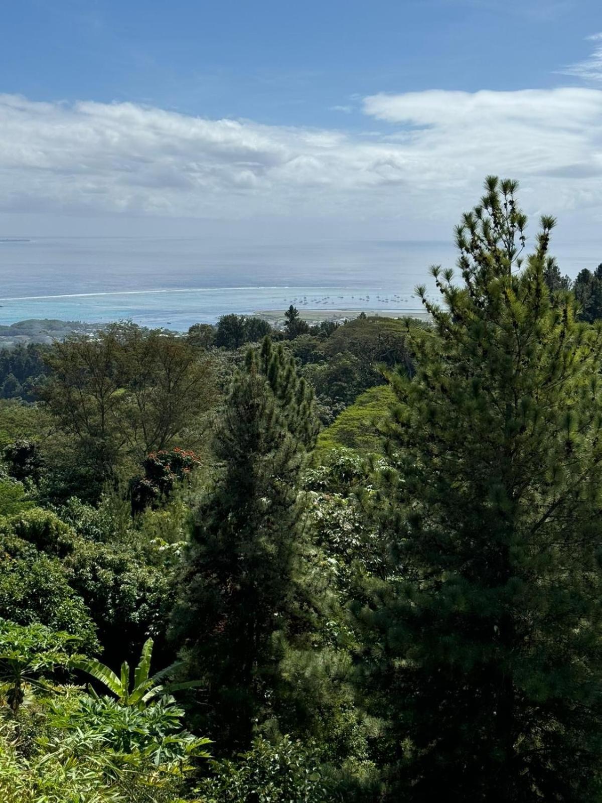 Logement Cosy Avec Piscine Et Vue Tahiti Punaauia Zewnętrze zdjęcie